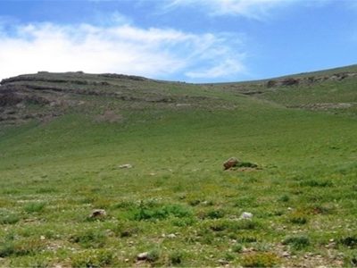 تغییر کاربری اراضی یکی از عوامل افت کیفیت جنگل‌ها