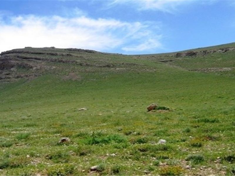 تغییر کاربری اراضی یکی از عوامل افت کیفیت جنگل‌ها