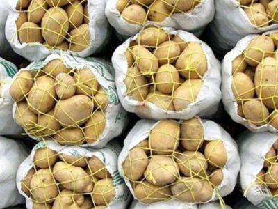 ورود محصولات بهاره به بازار/ قیمت سیب زمینی کاهشی شد