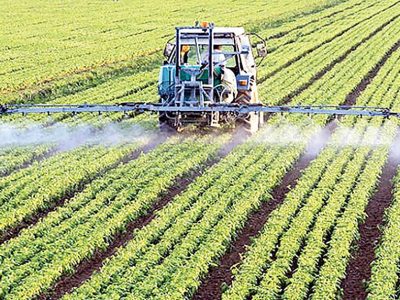 بحران آب و اقلیم، پایداری تولید غذا در ایران را تهدید می‌کند