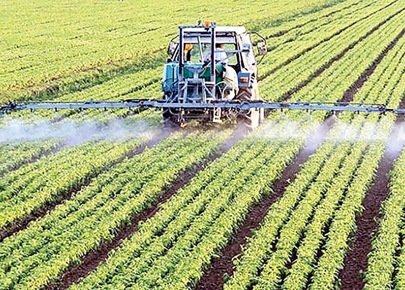 بحران آب و اقلیم، پایداری تولید غذا در ایران را تهدید می‌کند