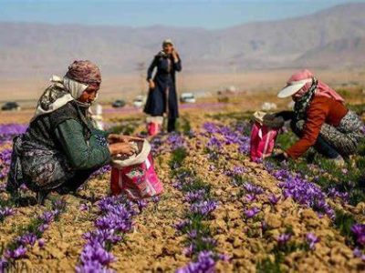 کار بی‌مزد زنان روستایی!