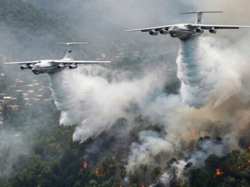 امل انسانی در وقوع آتش سوزی جنگل قطعی است