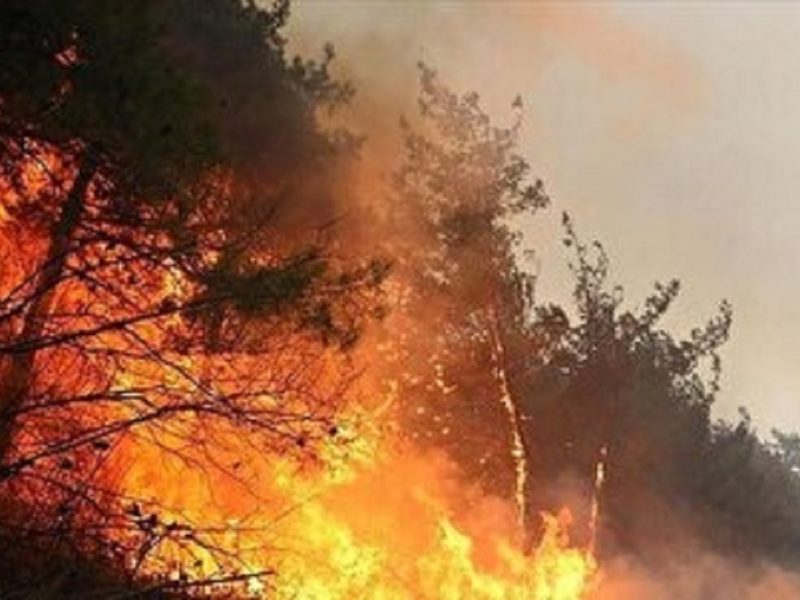 توقف گسترش آتش‌سوزی در الیت